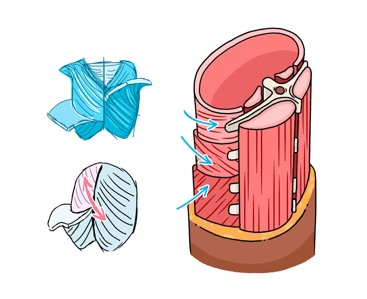 Stratification Example